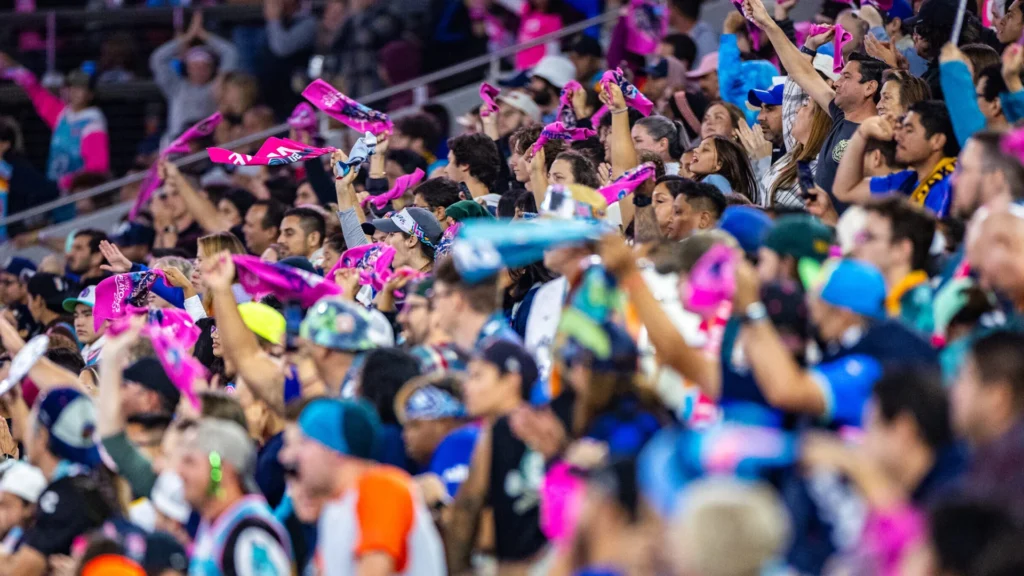 NWSL Viewership Dips, Excited NWSL fans cheer during record-breaking match