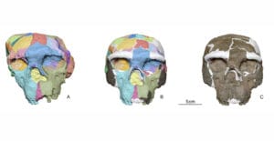 Yunxian 2 million-year-old human skull discovery in China